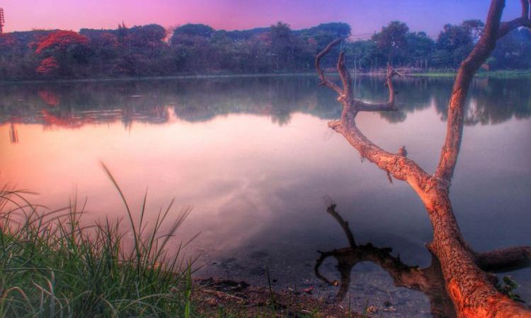 Telaga Ngipik