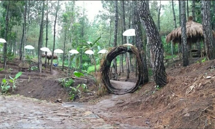 Bukit Salju Ngetos