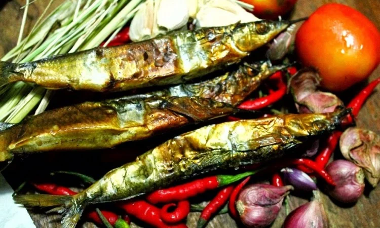 Ikan Roa