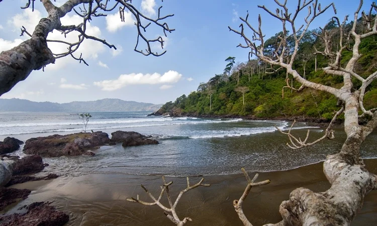 Pantai Rajegwesi