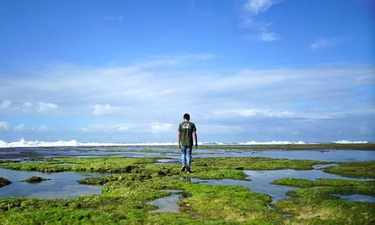 Pantai Sayang Heulang