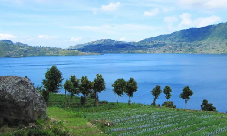 Danau Diateh Danau Dibawah