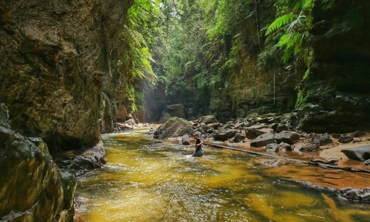Sungai Gulamo