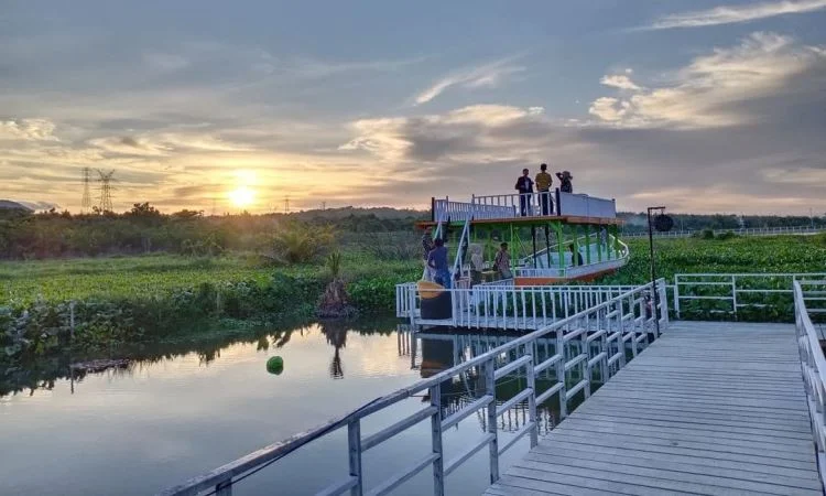 Taman Bunga Eceng Gondok