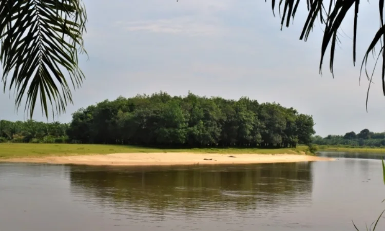 Teluk Jering