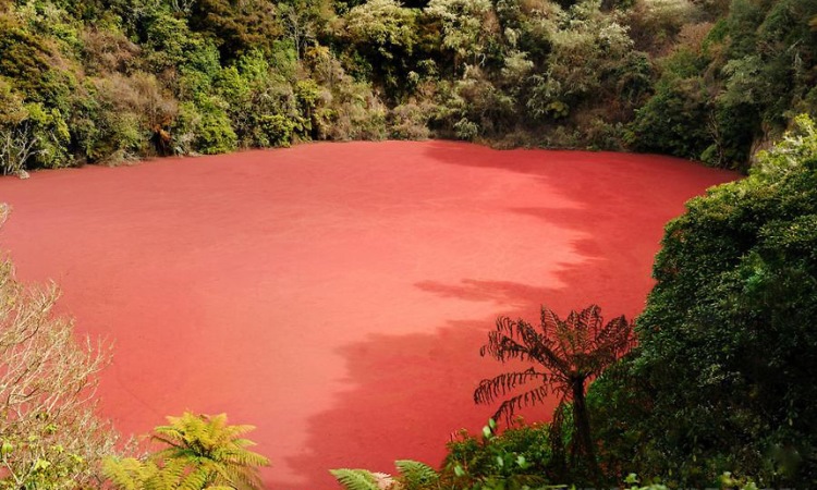 Danau Merah Rimba Candi