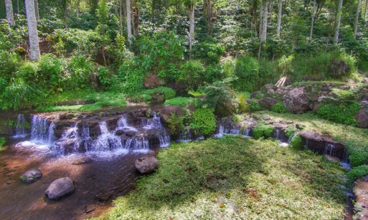 Green Paradise Pagar Alam
