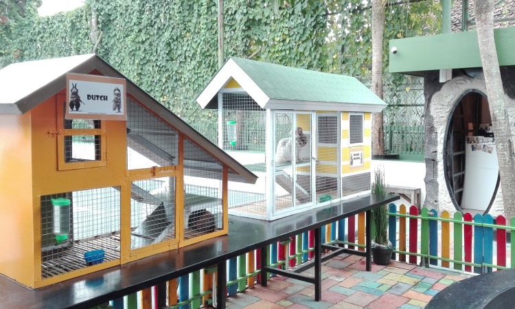 Rabbit Villa