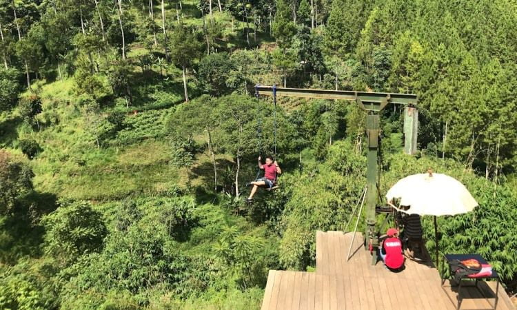 Sky Swing The Lodge Maribaya