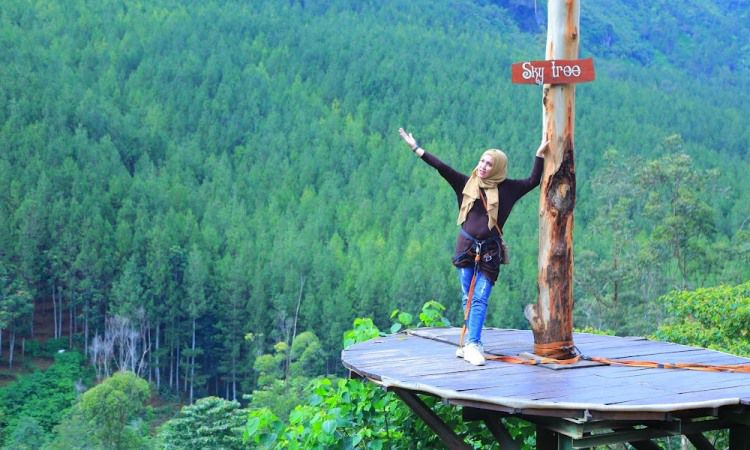 Sky Tree The Lodge Maribaya