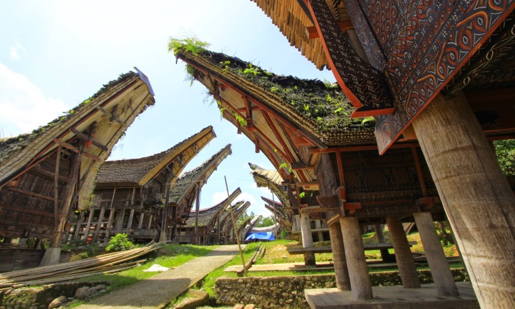 25 Tempat Wisata di Tana Toraja Terbaru & Lagi Hits