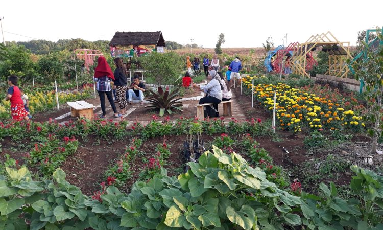 Agrowisata Situ Bolang, Tempat Wisata Kekinian di Indramayu
