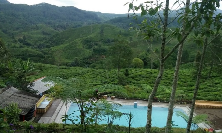Ayunan Hammock