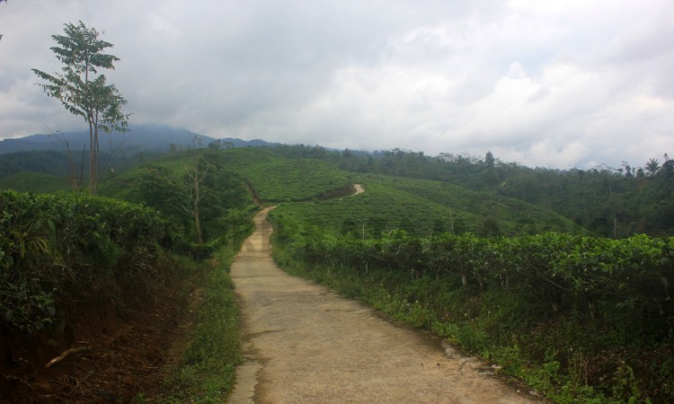 Beragam Spot Menarik