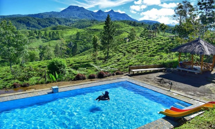 Berenang Sambil Menikmati Keindahan Alam Bukit Kacapi