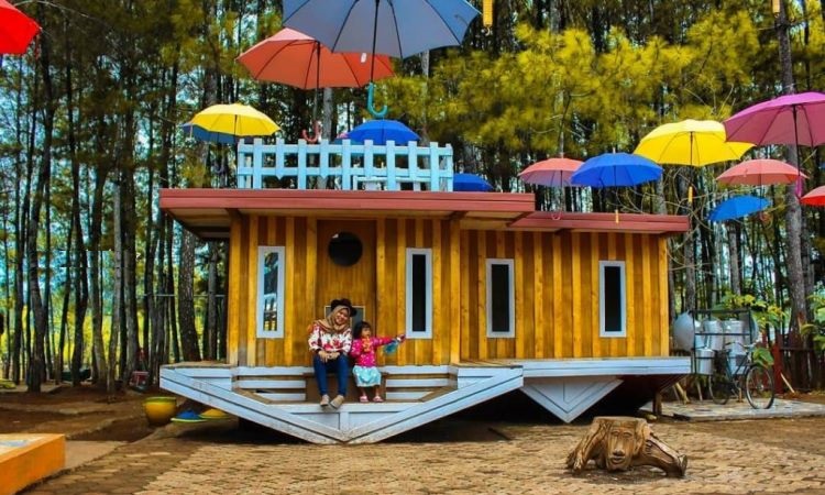 Berkunjung ke Hutan Pinus Pokland