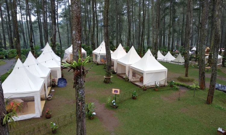 Camping Ground Orchid Forest Lembang