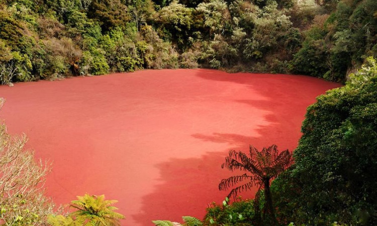 Danau Merah Rimba Candi