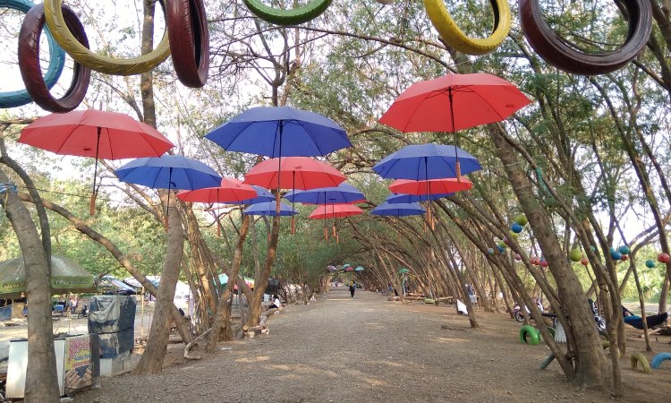 Daya Tarik Wisata Pohon Miring Pancawati
