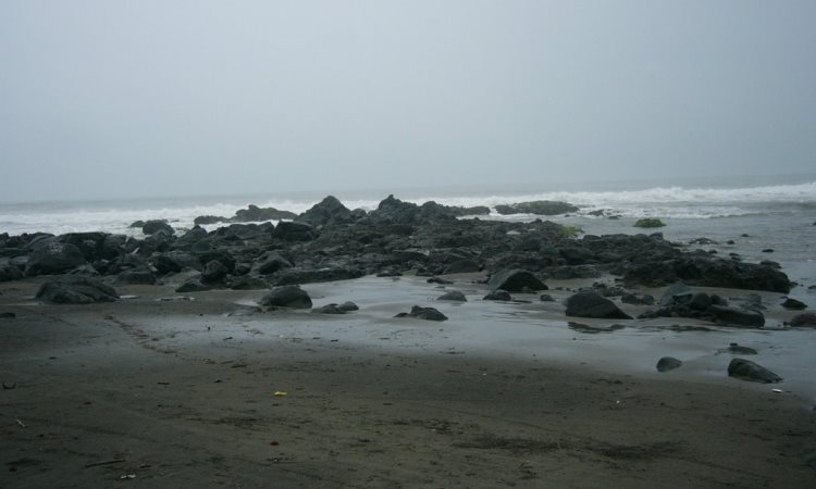 Daya Tarik dari Pantai Jayanti