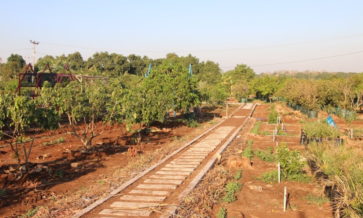 Fasilitas Penunjang di Agrowisata Situ Bolang