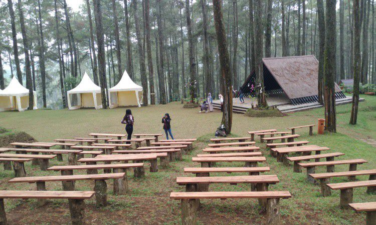 Fasilitas yang Ditawarkan Orchid Forest