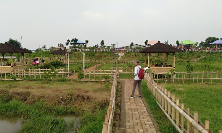 Harga Tiket & Akses Menuju Lokasi yang Mudah Dijangkau