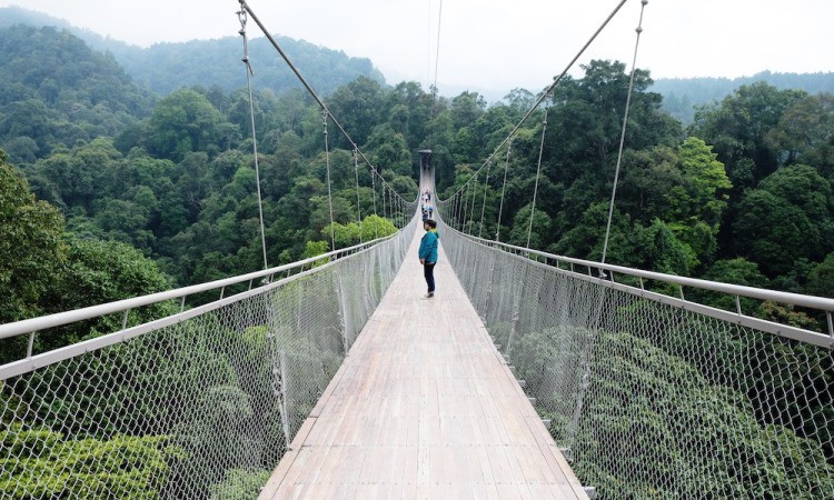 Harga Tiket Masuk Jembatan Gantung Situ Gunung Relatif Murah