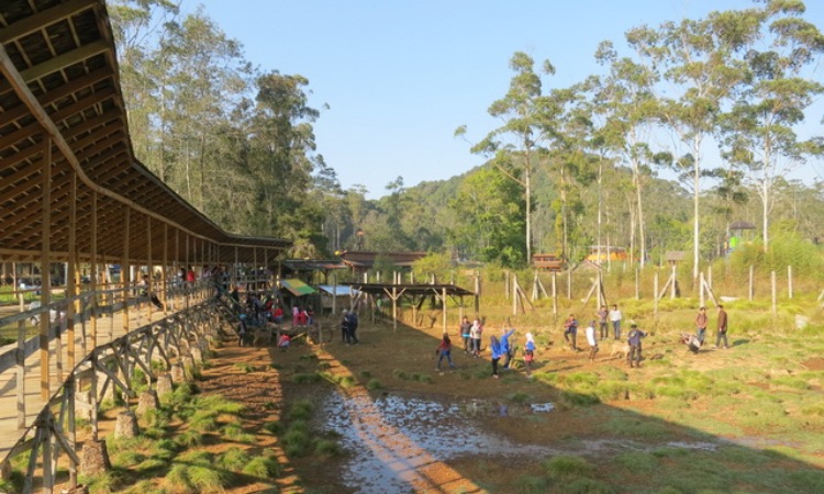 Harga Tiket Masuk Kampung Cai Ranca Upas