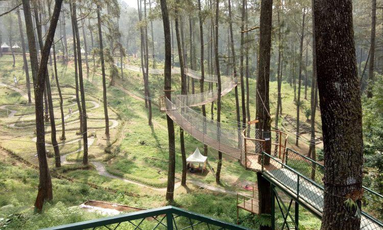 Harga Tiket Masuk Orchid Forest Lembang