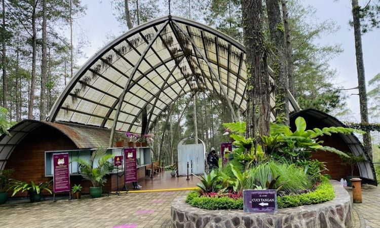 Harga Tiket Masuk Orchid Forest Lembang