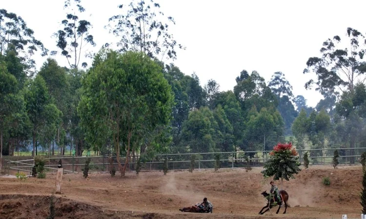 Kavaleri Parongpong