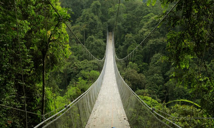 Keamanan Pengunjung Situ Gunung Terjamin