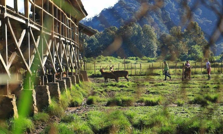 Legenda Kampung Cai Ranca Upas