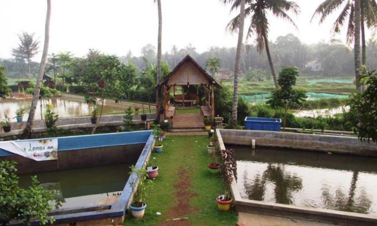 Lokasi & Harga Tiket Masuk Taman Herbal Insani
