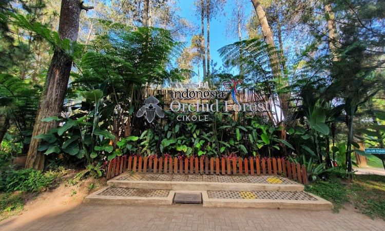 Lokasi dan Cara Menuju Orchid Forest Lembang