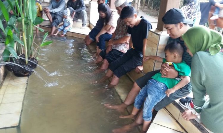 Nikmati Terapi di Kolam Ikan