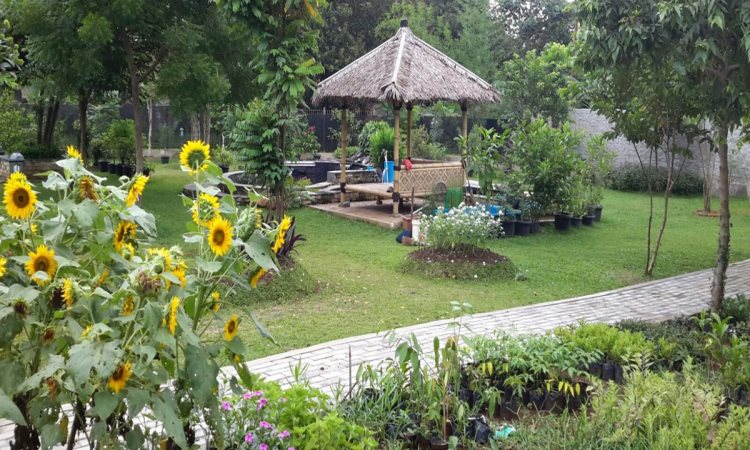 Objek Menarik di Taman Herbal Insani