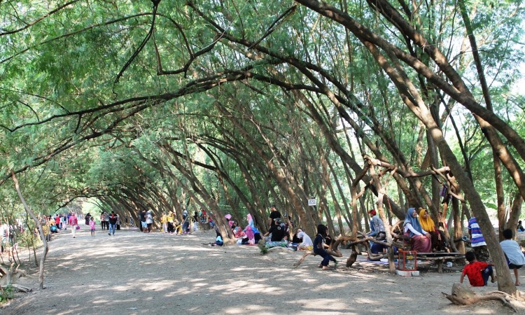 Pohon Miring Pancawati Tempat Rekreasi Favorit Di Karawang Itrip