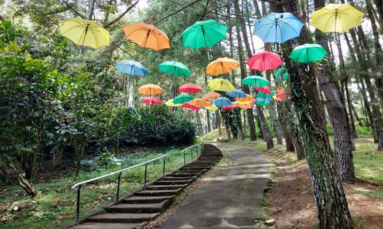 Rute Menuju Kawasan Wisata Bukit Baros