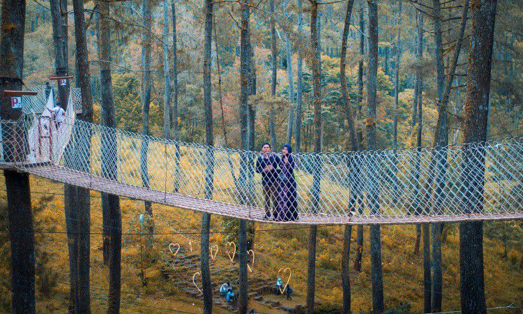 Sky Bridge dan Wooden Bridge