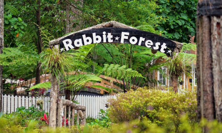 Taman Kelinci Orchid Forest Lembang