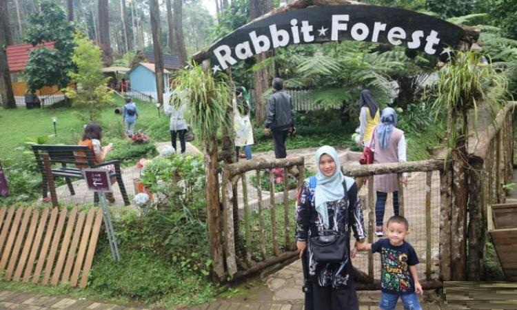 Taman Kelinci