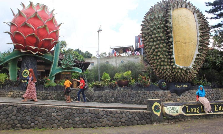 Daya Tarik Kawasan Kebun Durian Warso Farm