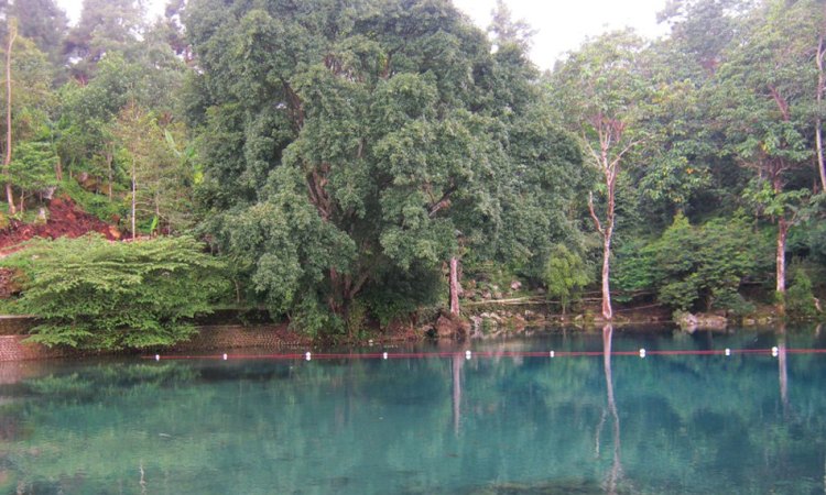 Fasilitas & Kegiatan Menarik Dilakukan di Situ Cicerem