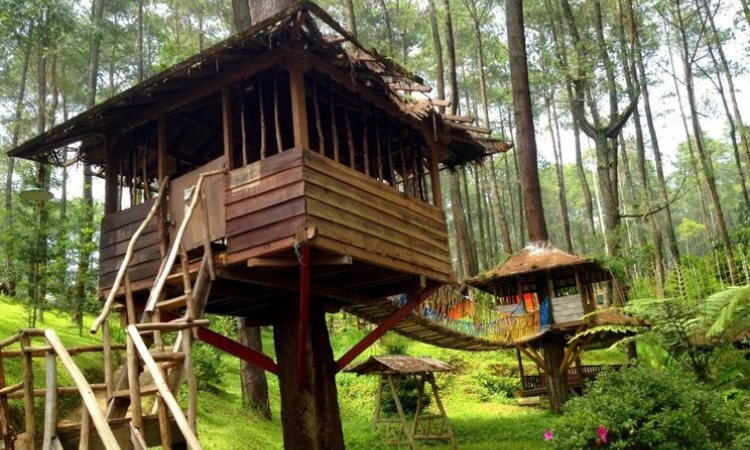 Rumah Pohon Jatiasih, Tempat Rekreasi & Outbond Favorit di