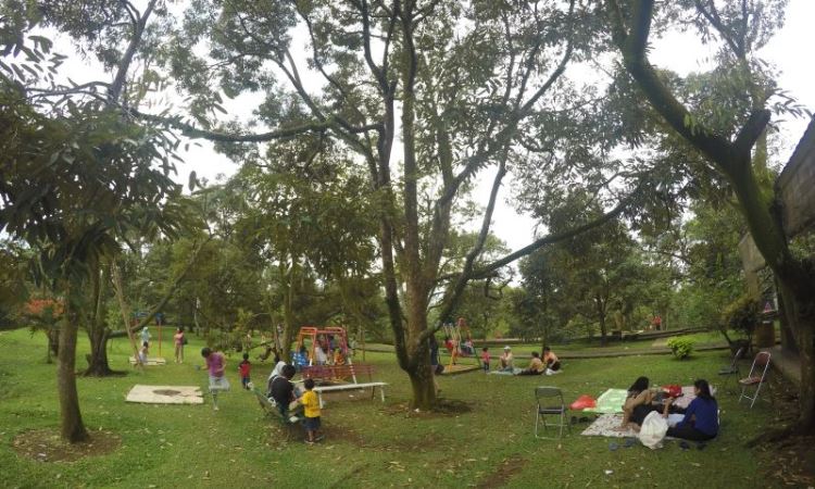 Fasilitas yang ada di Kebun Durian Warso Farm