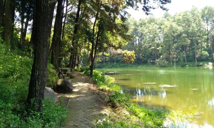 Telaga Remis Kuningan, Wisata Alam Nan Asri & Cerita