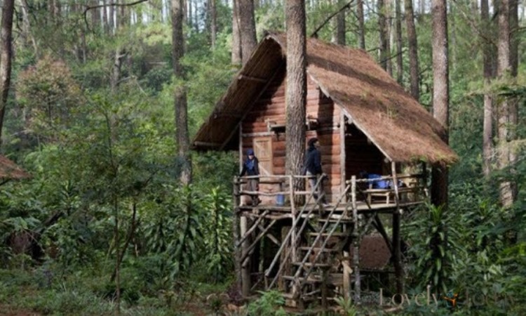 Tempat Wisata Rumah Pohon Jatiasih