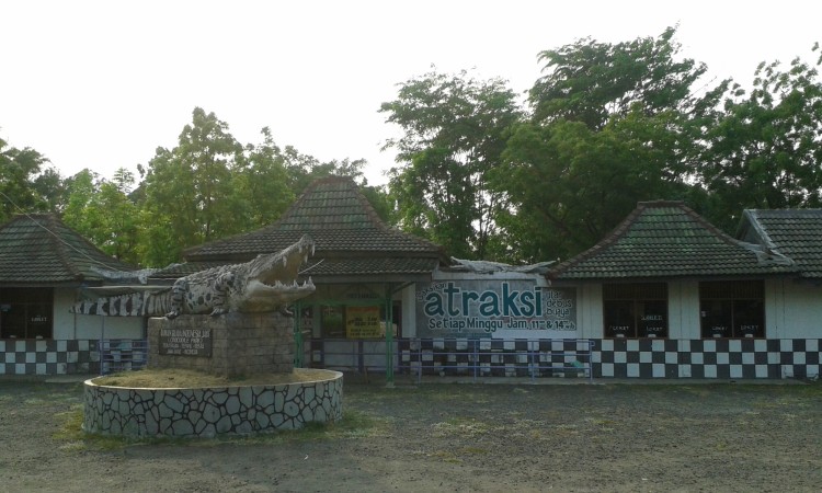 Lokasi & Harga Tiket Masuk Taman Buaya Indonesia Jaya